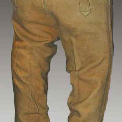 Breeches