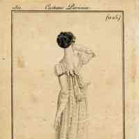 Ball Gown, Silk Gauze