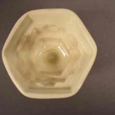 Food Mold