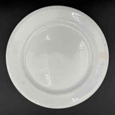 Dinner Plate