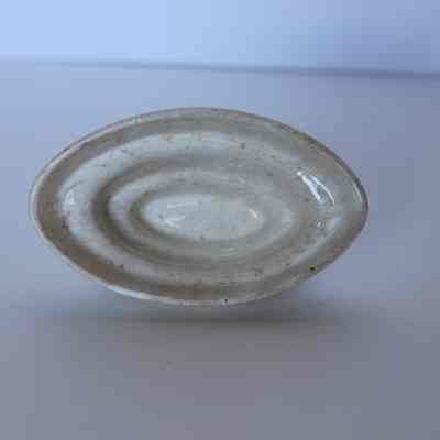 Food Mold