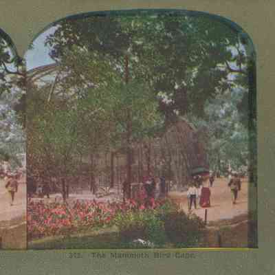 Stereograph