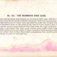 Stereograph - Image 2