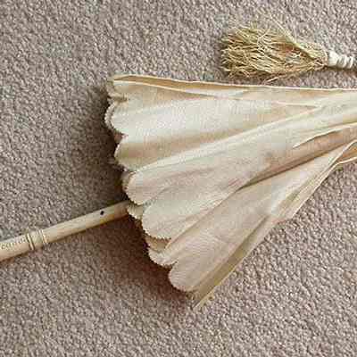 Parasol