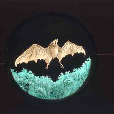 Transparency, Lantern Slide