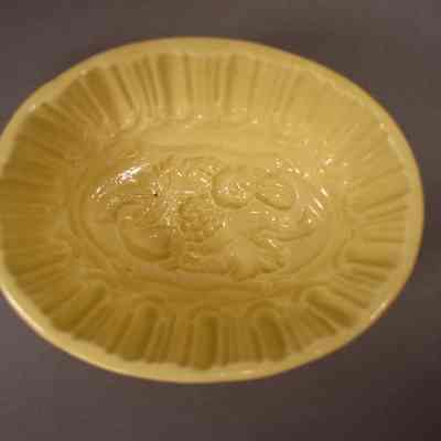Food Mold