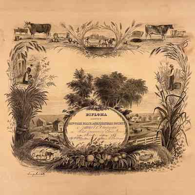 Diploma, James V. R. Chapman