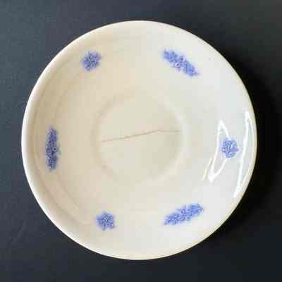 Saucer
