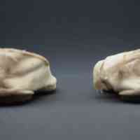 Slippers - Image 10