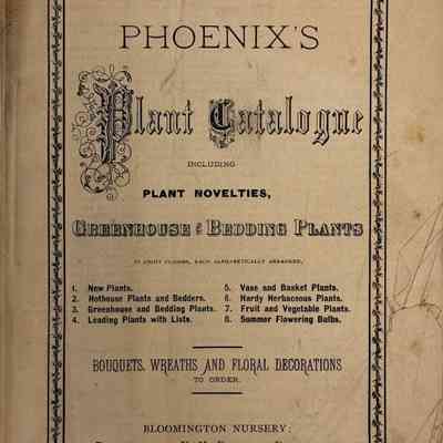Phoenix's Plant Catalogue, 1874