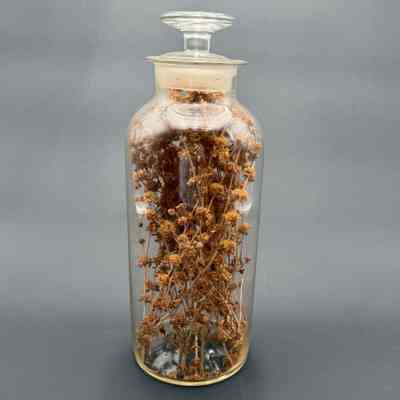 Apothecary Bottle