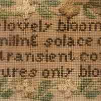 Sampler - Image 6