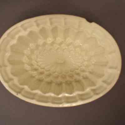 Food Mold