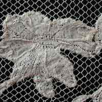 Notion, Lace - Image 4