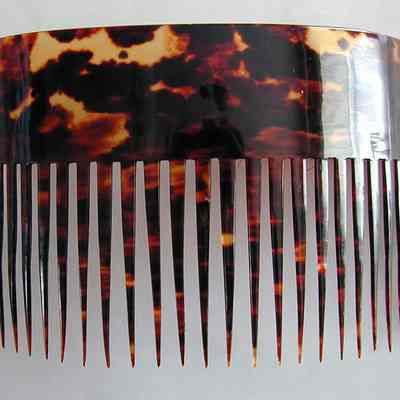 Comb, Ornamental