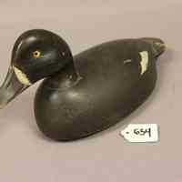 Bluebilled Hen - Image 3