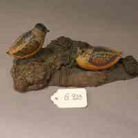 Miniature Woodcock carving - Image 2