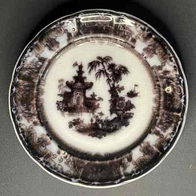 Dinner Plate