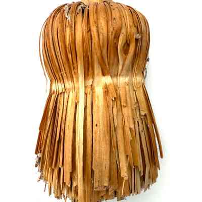 Broom