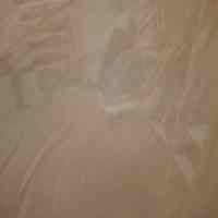 Petticoat - Image 2