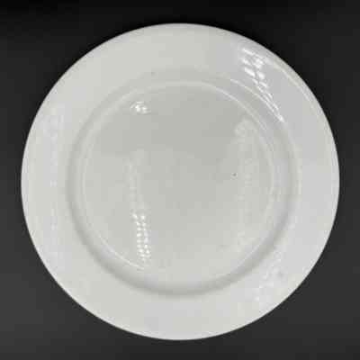 Dinner Plate