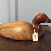 Canvasback Drake - Image 2