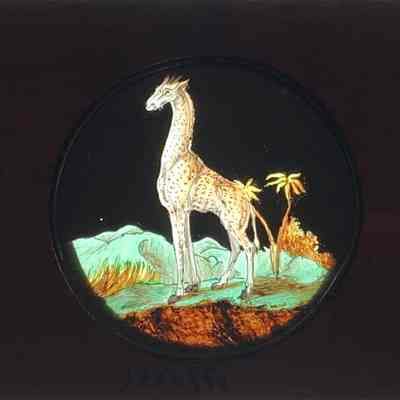Transparency, Lantern Slide