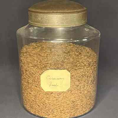 Canister