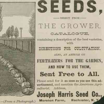 Advertisement, Harris Seeds