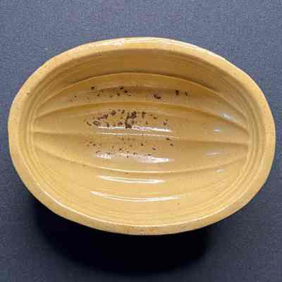 Food Mold