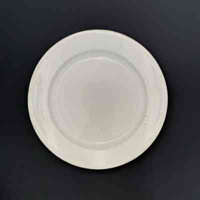 Dinner Plate