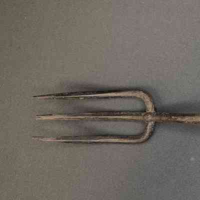 Serving Fork