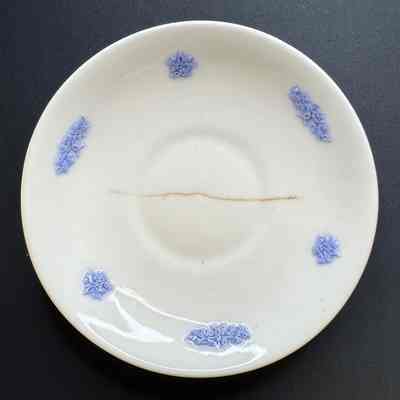 Saucer