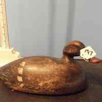 Bluebill Drake - Image 2
