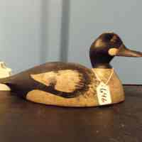 Goldeneye Drake - Image 2