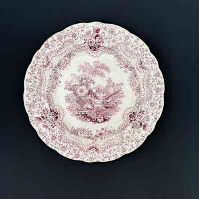 Dinner Plate
