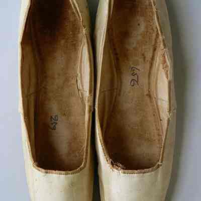 Shoe