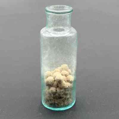 Medicine Bottle