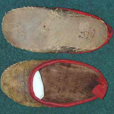 Shoe