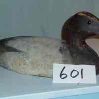 Canvasback Drake - Image 2