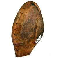 Shoe Sole - Image 2