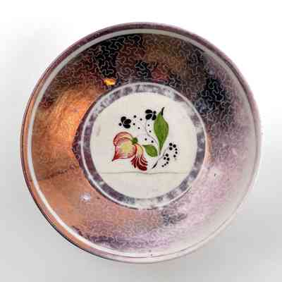 Saucer