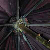 Parasol - Image 7