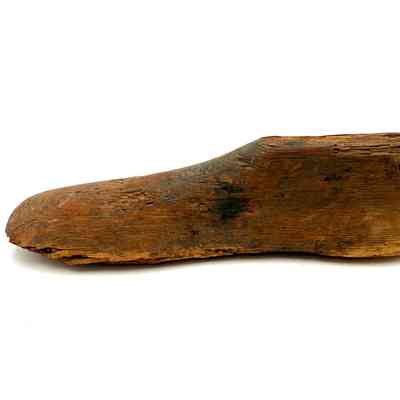 Shoe Last