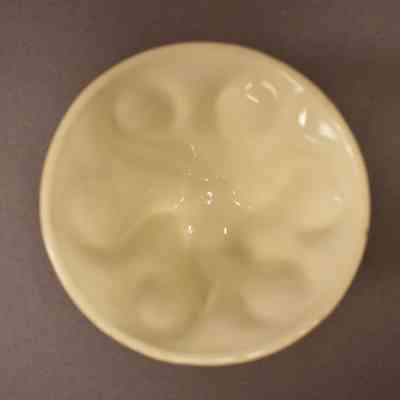 Food Mold