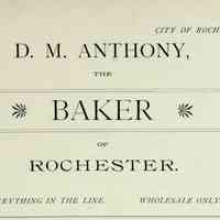 1890 City of Rochester Illustrated