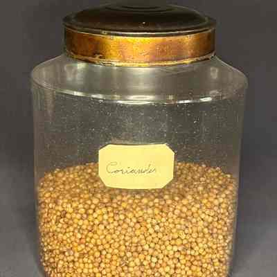 Canister