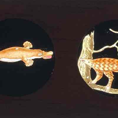 Transparency, Lantern Slide