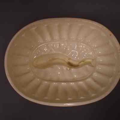 Food Mold