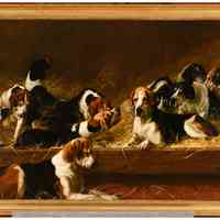 Old Benchers - Image 2